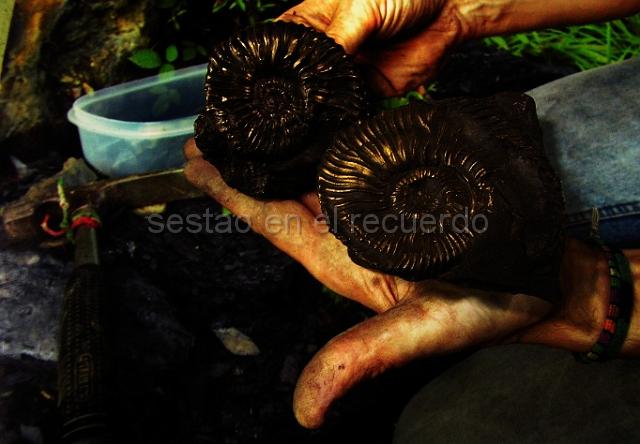 P1010019(1).jpg - LEAD Technologies Inc. V1.01