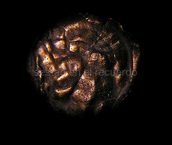 P1010049(2).jpg - LEAD Technologies Inc. V1.01