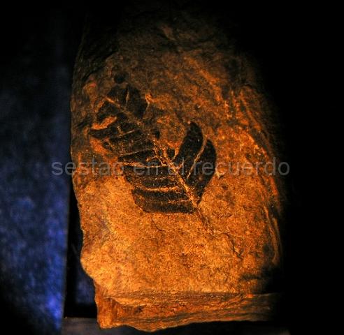 P1010051(2).jpg - LEAD Technologies Inc. V1.01