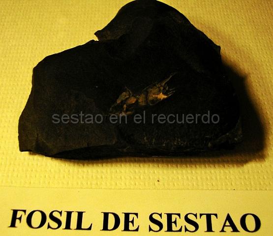 P1010156(1).jpg - LEAD Technologies Inc. V1.01