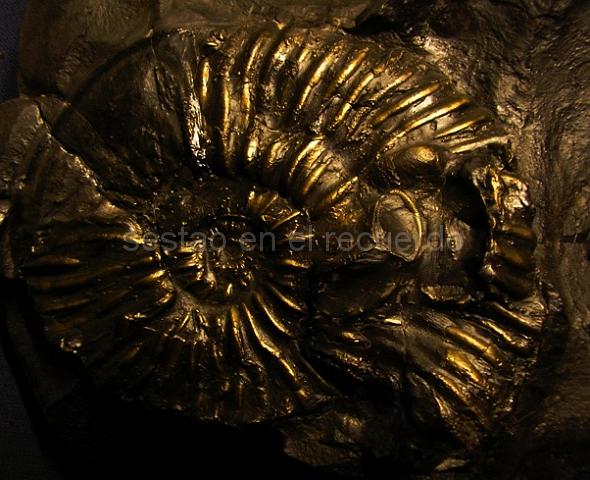 P1010188(1).jpg - LEAD Technologies Inc. V1.01