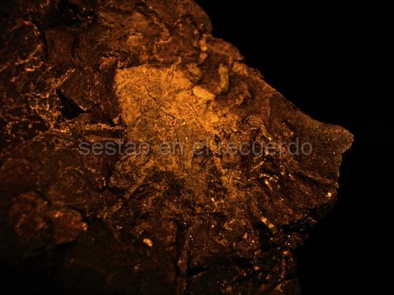 P1010198(2).jpg - LEAD Technologies Inc. V1.01