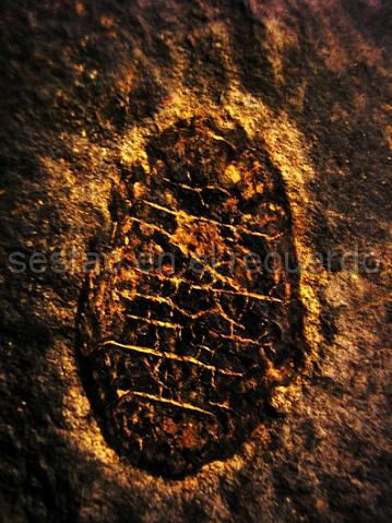 P1010205(1).jpg - LEAD Technologies Inc. V1.01